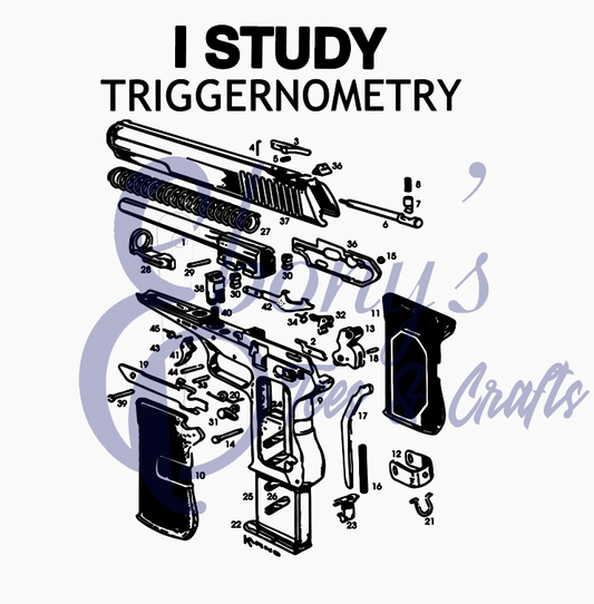 I study Triggernometry Transfer