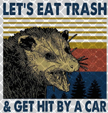 Let's Eat Trash and get hit by a carTransfer