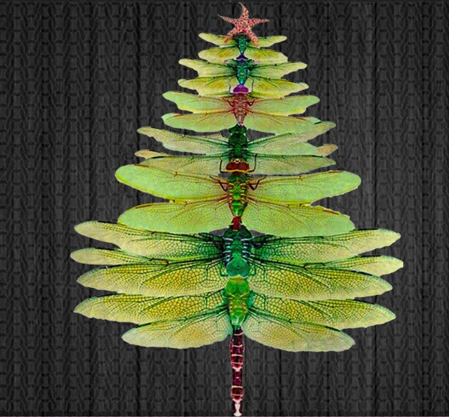 Dragonfly Christmas  tree Transfer